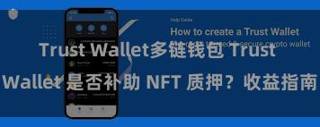 Trust Wallet多链钱包 Trust Wallet 是否补助 NFT 质押？收益指南