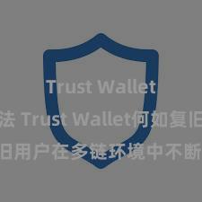 Trust Wallet使用方法 Trust Wallet何如复旧用户在多链环境中不断和兑换钞票？